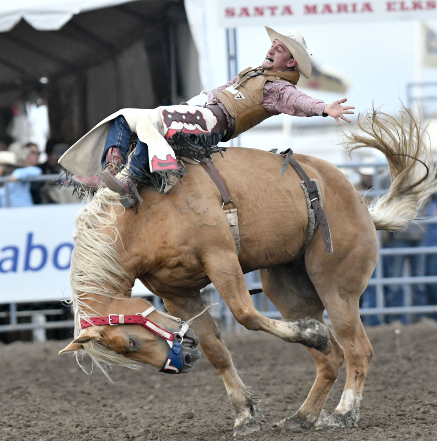 053019 Rodeo Thursday 20.jpg